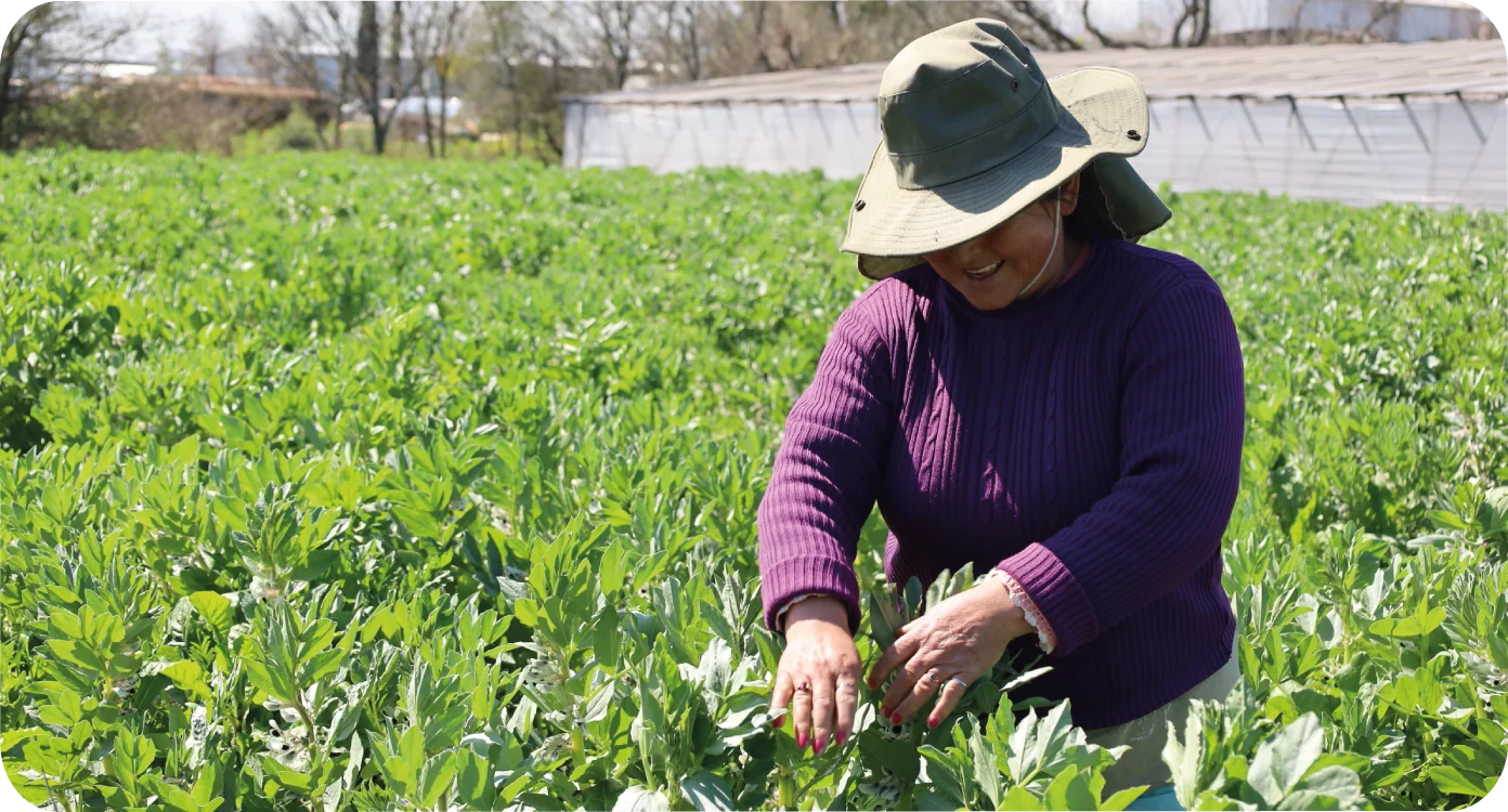 Imagen ilustrativa Agroecológico